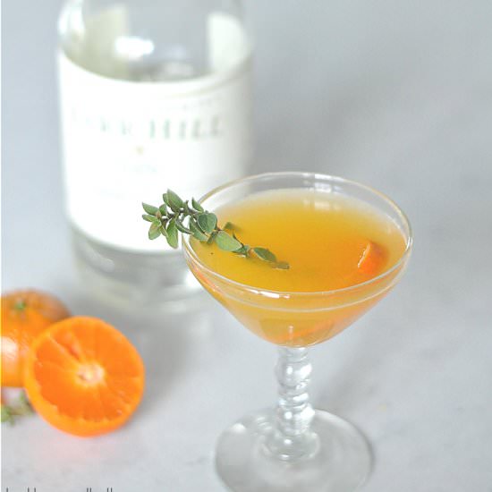 Clementine & Thyme Gin Cocktail