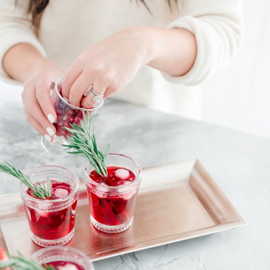 Pomegranate Gin and Tonic