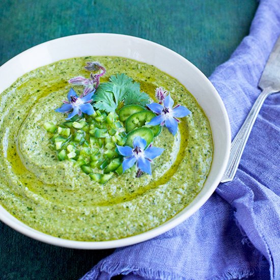 Jalapeno Cilantro Manchego Pesto