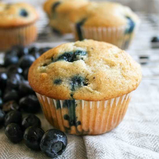 Buttermilk Blueberry Muffins