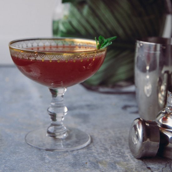 Pomegranate Ginger Gin Cocktail