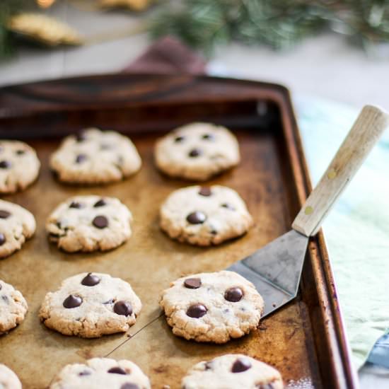 Paleo Chocolate Chip Cookies