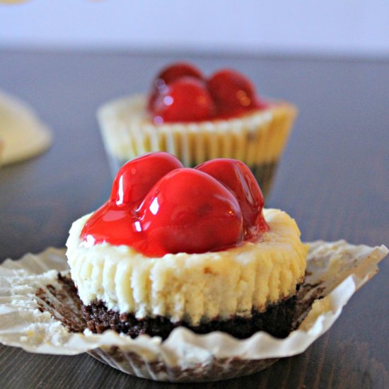 Mini Brownie Bottom Cheesecakes