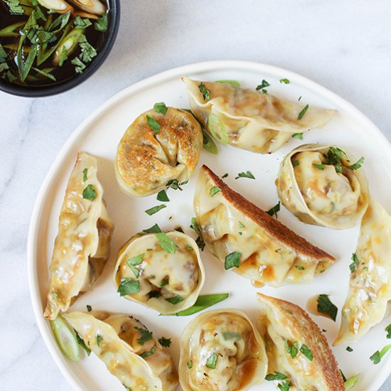 Turmeric Spiced Veggie Potstickers