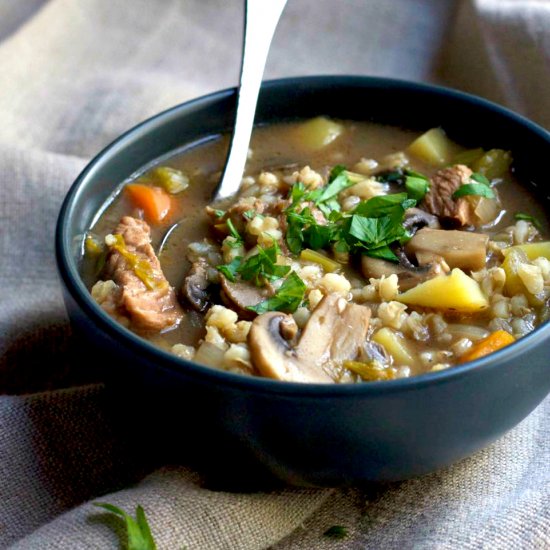 Vegetable Beef Barley Soup