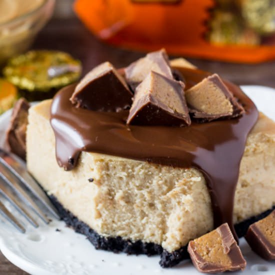 Peanut Butter Cheesecake Squares