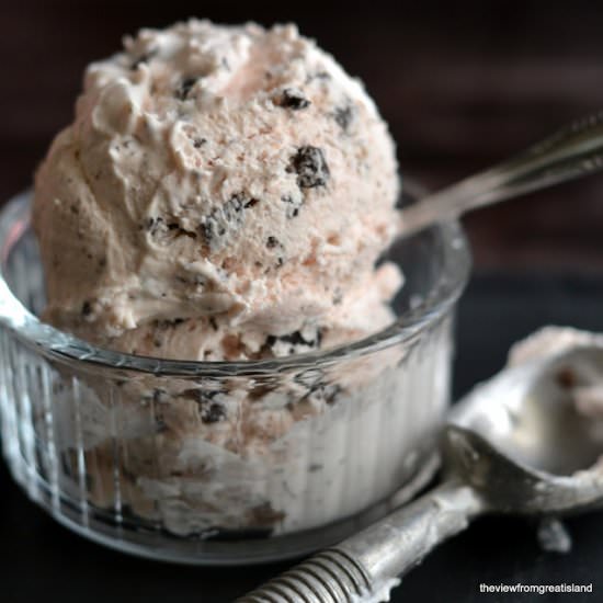 Rhubarb & Dark Chocolate Ice Cream