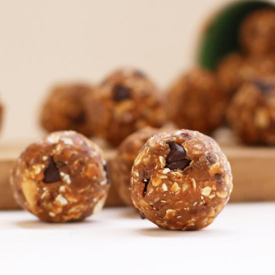 Peanut Butter Protein Bites