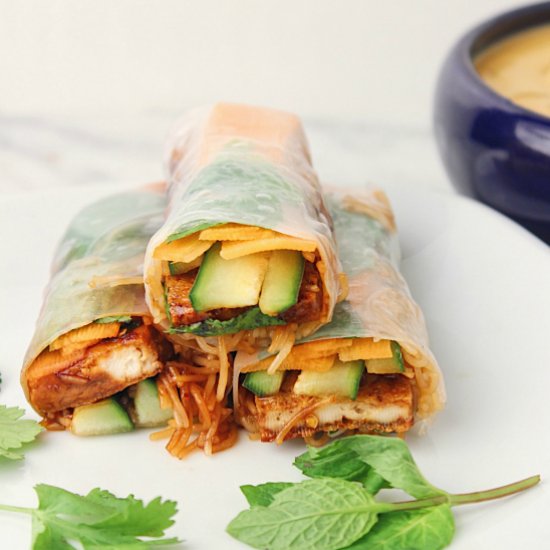 Tofu Spring Rolls with Peanut Sauce