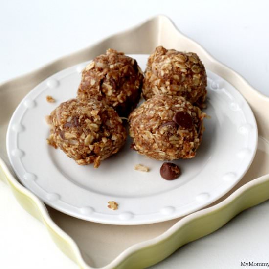 PROTEIN GRANOLA BAR BITES