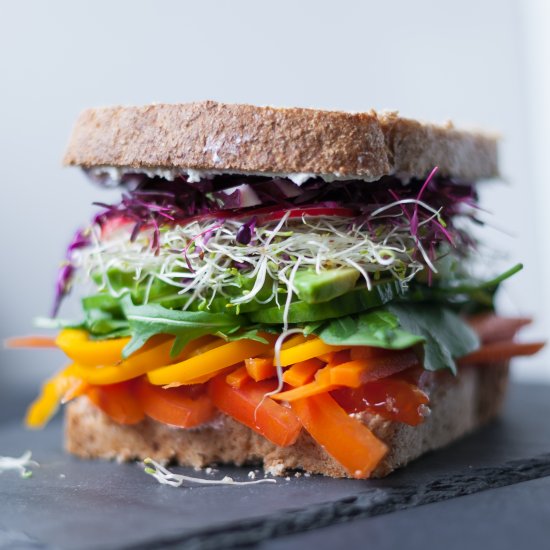 Rainbow Veggie Sandwich