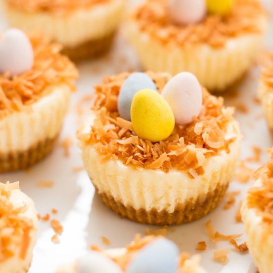 Easter Bird’s Nest Mini Cheesecakes