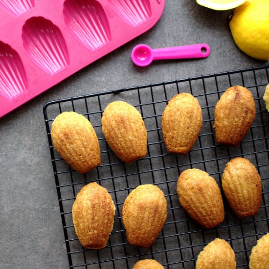 Gluten & Grain-free Madeleines