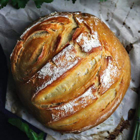 Dutch Oven Bread