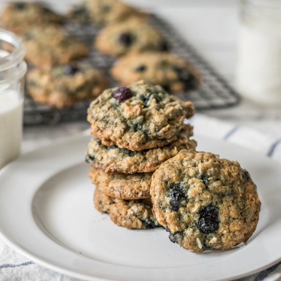 Blueberry Oatmeal Cookies