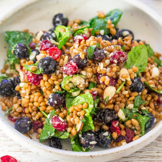 Spinach Blueberry Superfoods Salad