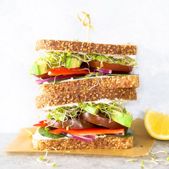 Rainbow Veggie Sandwich