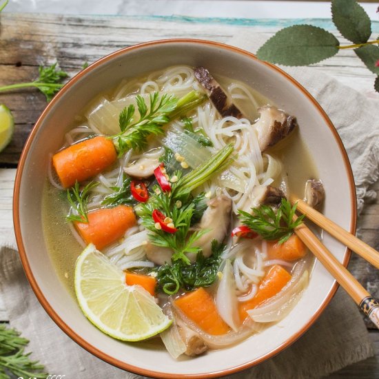 Asian Chicken Noodle Soup