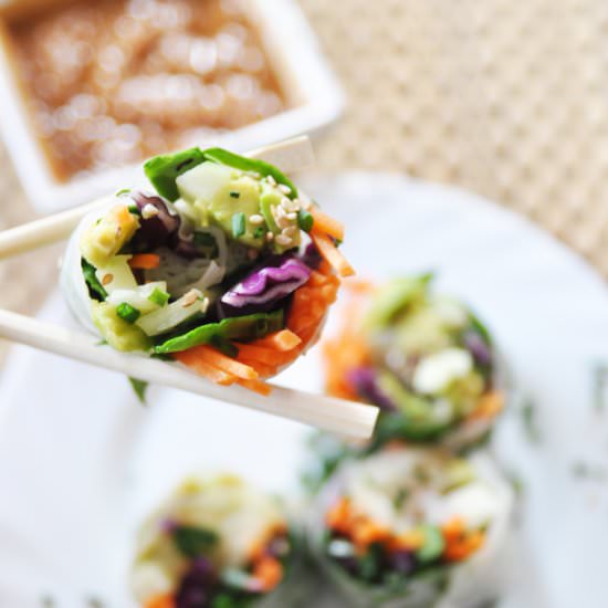 Vegan Vegetable Spring Rolls