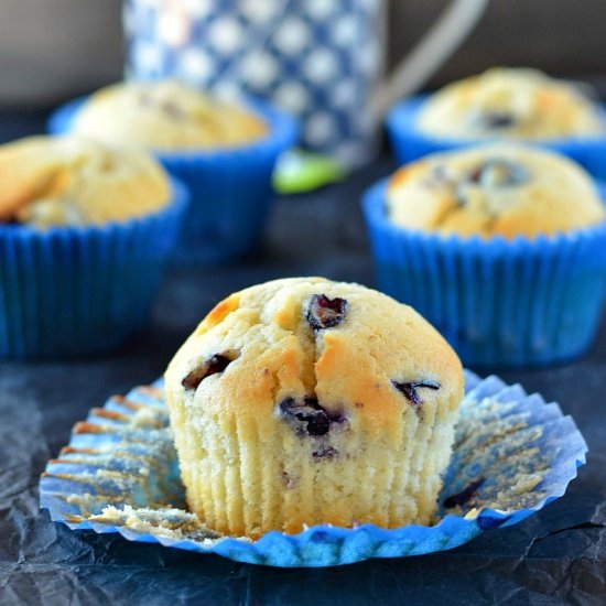 Blueberry Yogurt Muffins