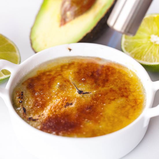 Avocado Creme Brulee