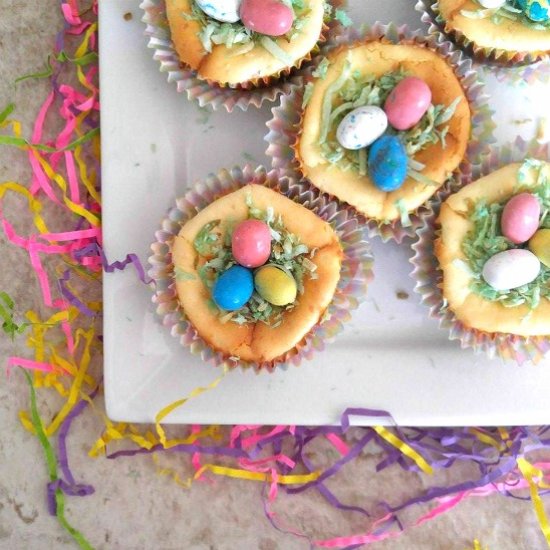 Easter Egg Nest Cheesecakes