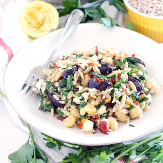 Mediterranean Chickpea + Orzo Salad