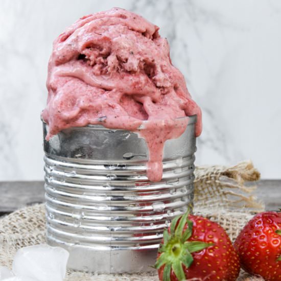 Strawberry ice cream {lactose free}