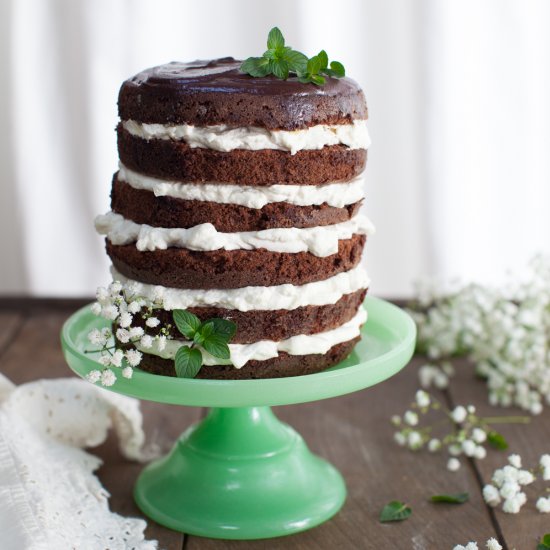 Chocolate Mint Cake