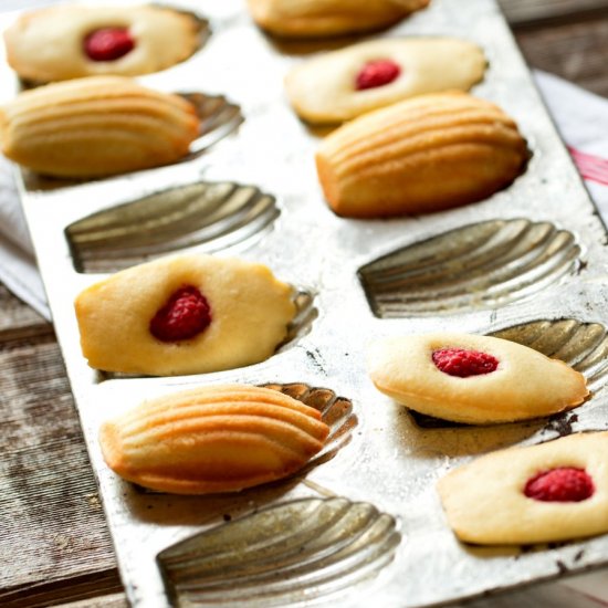 Raspberry Madeleines