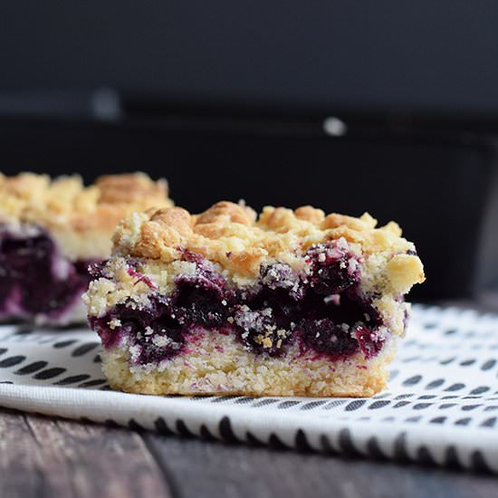 Low FODMAP Blueberry Crumble Bars