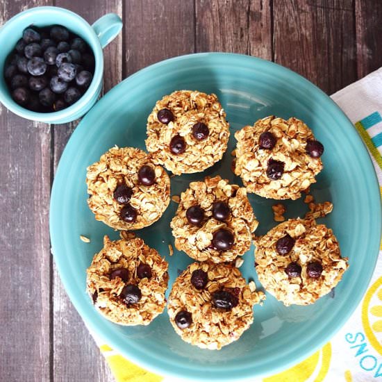 Vegan Blueberry Crumb Muffins