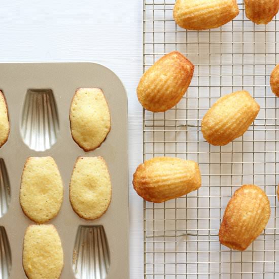 Honey Almond Madeleines