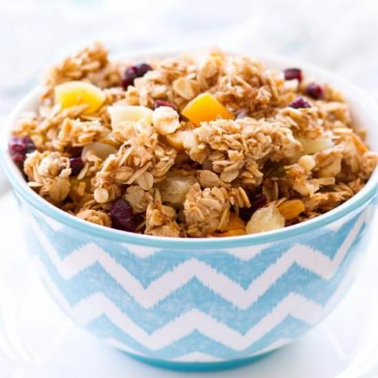 Homemade Tropical Coconut Granola