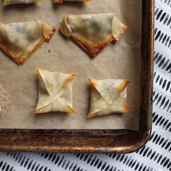 Turkey dumplings