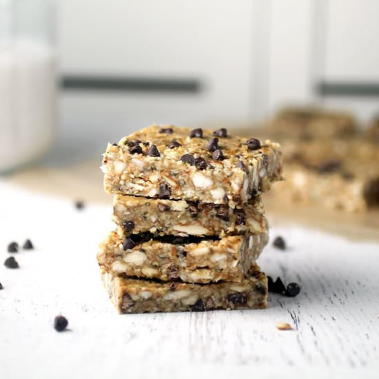 No-Bake Hemp Seed Bars