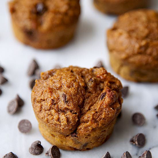 Pumpkin chocolate chip muffins