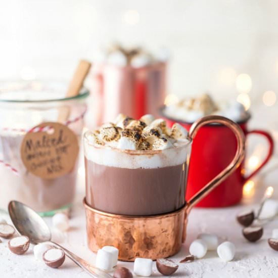 Malted Instant Hot Chocolate