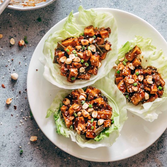 Vegetarian Mapo Tofu Lettuce Wraps