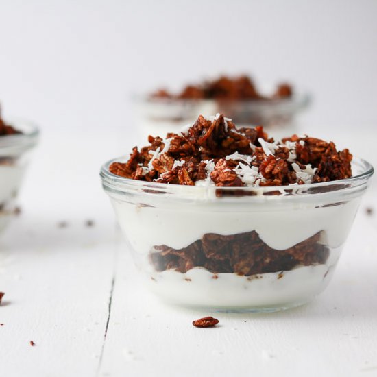 Chocolate Coconut Pecan Granola