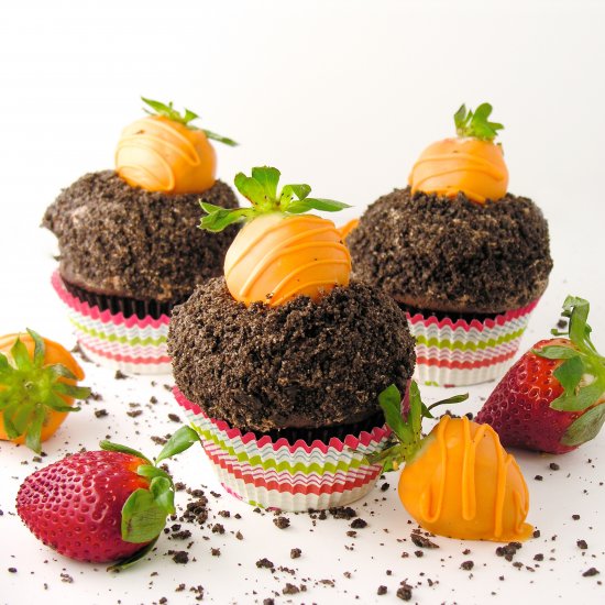 Carrot Patch Cupcakes