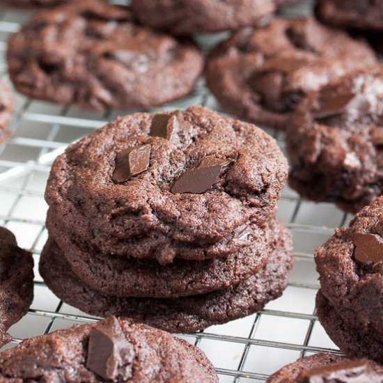 Double Chocolate Cranberry Cookies