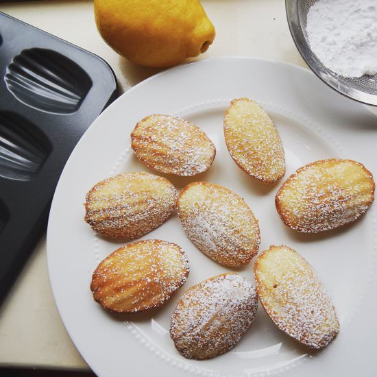 Classic French Madeleines