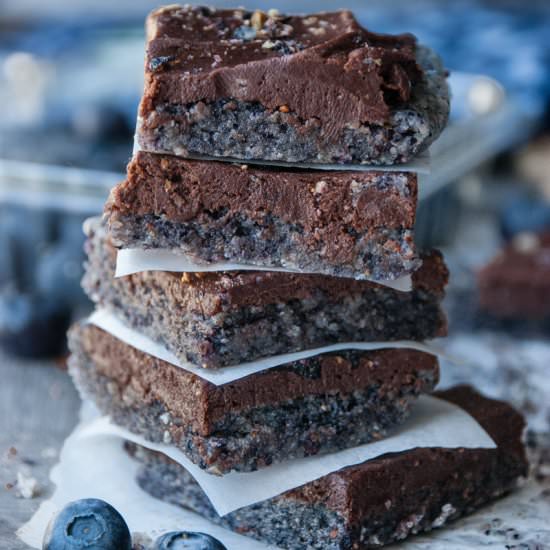 Blueberry Fudge Frosted Bars