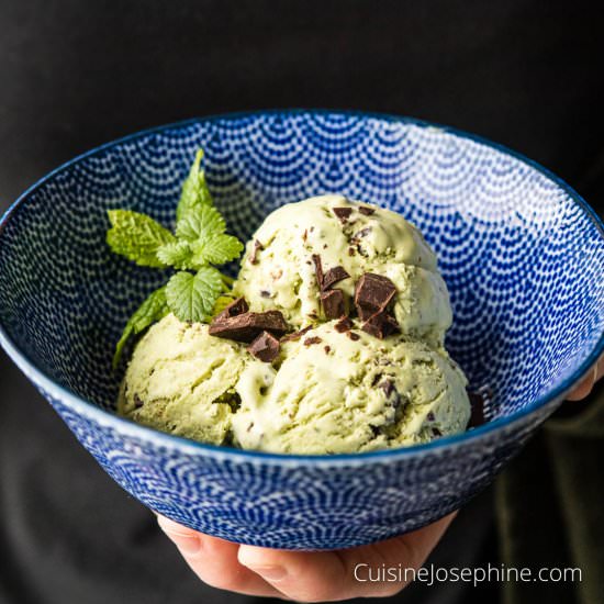 Matcha Chocolate Ice Cream