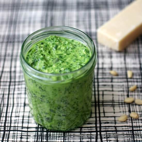 Wild Garlic Pesto