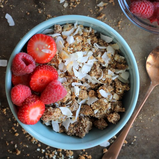 Grain Free Coconut Granola