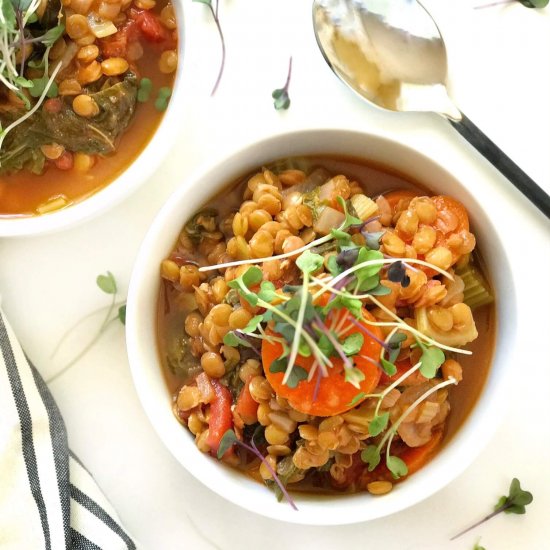 Hearty Vegetable Lentil Soup