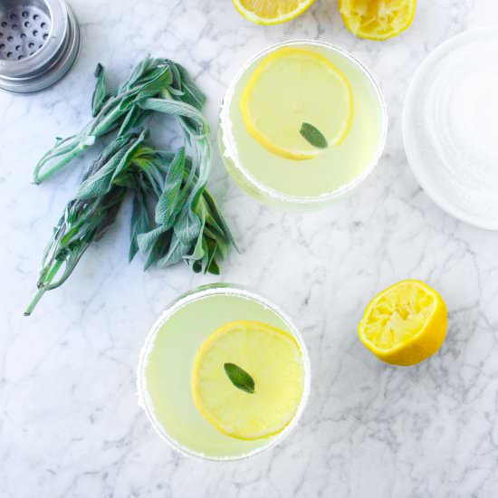 Sage and Lemon Gin Martinis