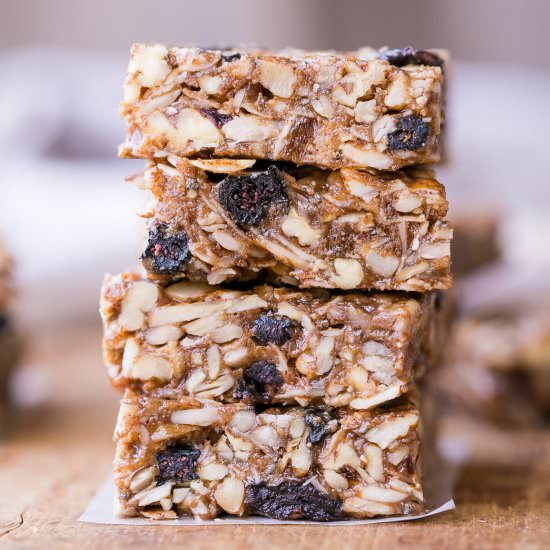 Trail Mix Granola Bars